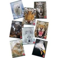 Maxi quaderni A4 Animal World Pigna